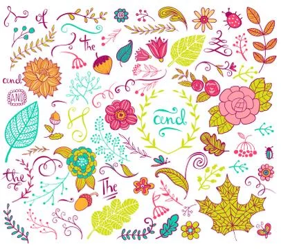 Floral design elements in doodle style Stock Illustration