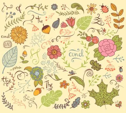 Floral design elements in doodle style Stock Illustration