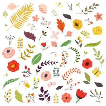 Floral design elements Illustration