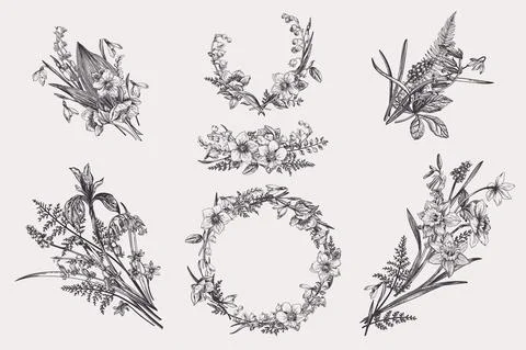 Floral design elements. Illustrazione stock