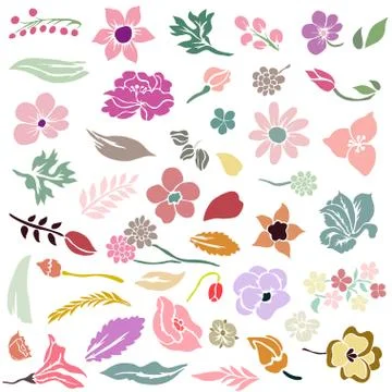 Floral design elements set, for invitations, cards, banners, scrapbook Stock Illustration