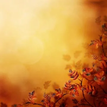 Floral design Stock Photos