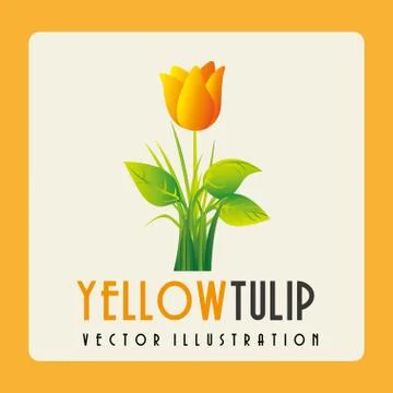 Floral design , vector illustration Stock Illustration