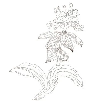 Floral design, vector illustration Stock Illustration