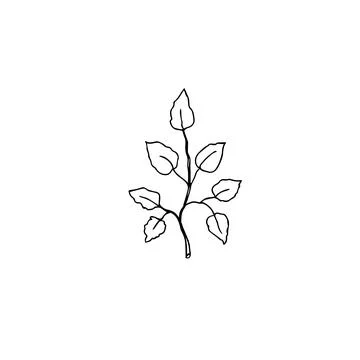 Floral doodle elements hand drawn for logo or tatoo Stockillustratie