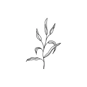 Floral doodle elements hand drawn for logo or tatoo Stockillustratie