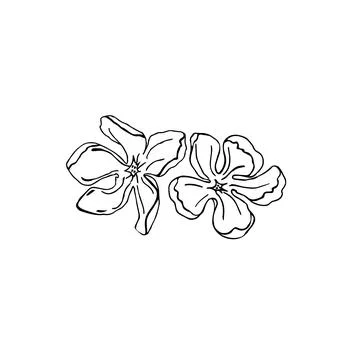 Floral doodle elements hand drawn for logo or tatoo 库存插图