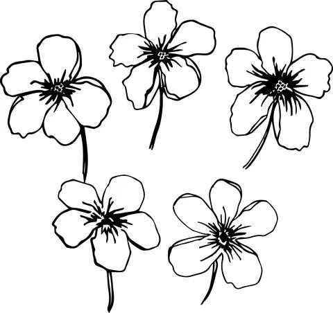 Floral doodle elements hand drawn for logo or tatoo 库存插图