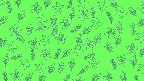 Floral doodle pattern of flowers leaves and branches creates a whimsical design 스톡 동영상 333048418