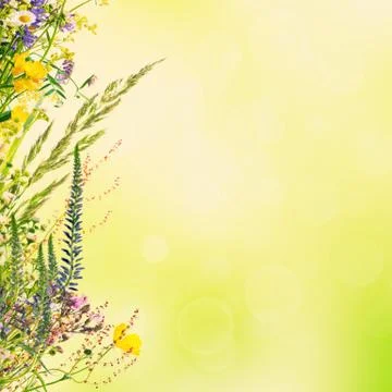 Floral easter background Stock Illustration