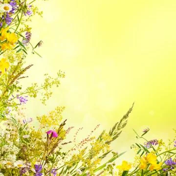 Floral easter background Stock Illustration