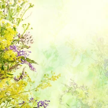 Floral easter background Stock Illustration