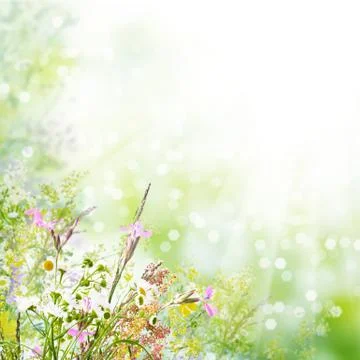 Floral easter background Stock Illustration