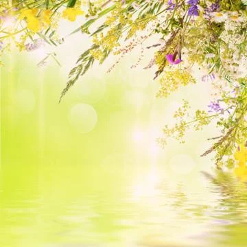 Floral easter background Fotos de archivo