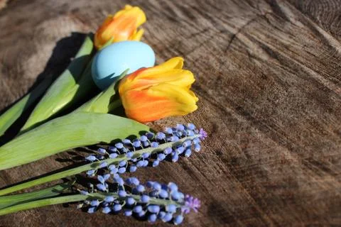 Floral easter greetings Stock Photos