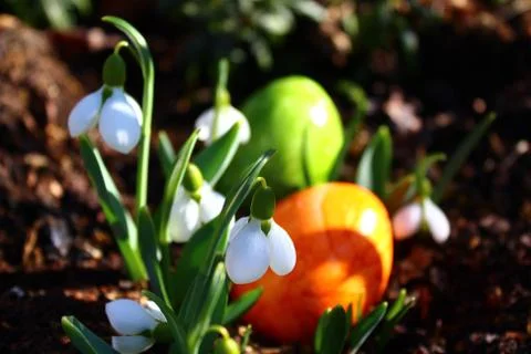Floral easter greetings Stock Photos