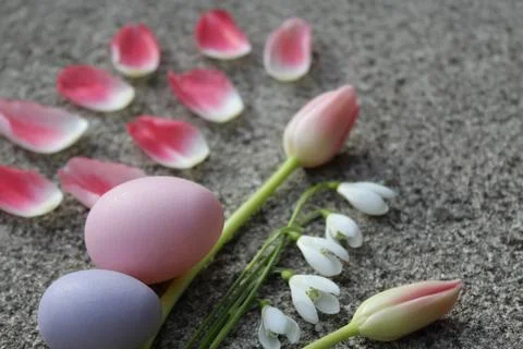 Floral easter greetings Stock Photos