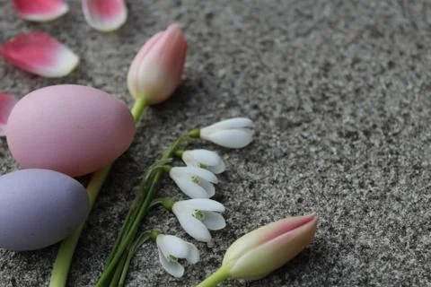 Floral easter greetings Stock Photos
