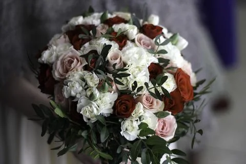 Floral Elegance 스톡 사진