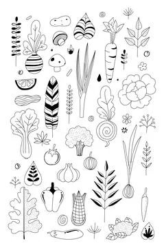 Floral element 스톡 일러스트