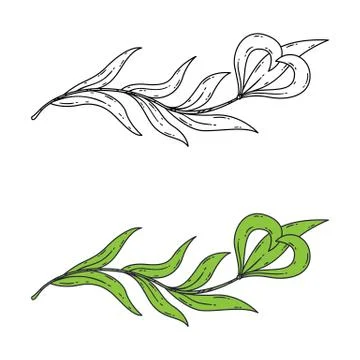 Floral element for the logo. Stock Illustration