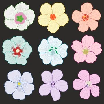 Floral elements on a black background 스톡 일러스트