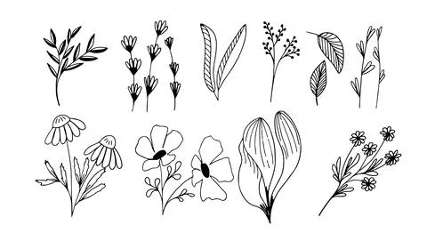 Floral elements collection in doodle style.. Hand drawn decorative leaves and Stock Illustration