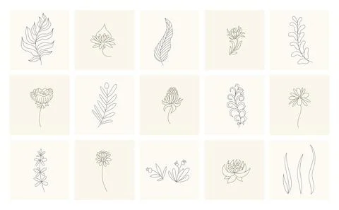 Floral elements. Collection of hand drawn plants. Set design elements in sketch Stock Illustration