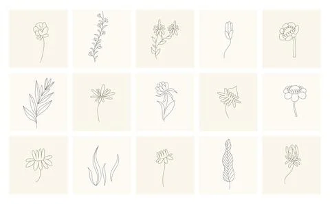 Floral elements. Collection of hand drawn plants. Set design elements in sketch Illustrazione stock