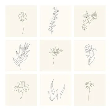 Floral elements. Collection of hand drawn plants. Set design elements in sketch 库存插图