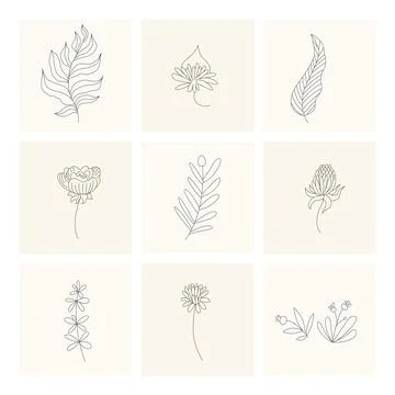 Floral elements. Collection of hand drawn plants. Set design elements in sketch Illustrazione stock