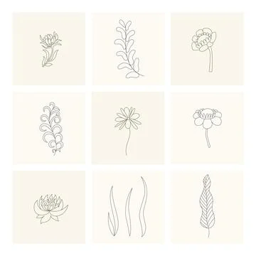 Floral elements. Collection of hand drawn plants. Set design elements in sketch Stock Illustration