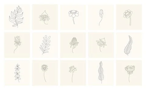 Floral elements. Collection of hand drawn plants. Set design elements in sketch Stock Illustration