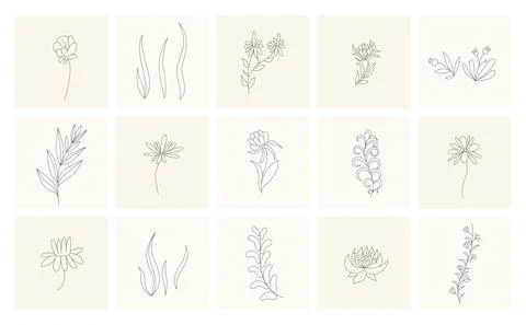 Floral elements. Collection of hand drawn plants. Set design elements in sketch Illustrazione stock