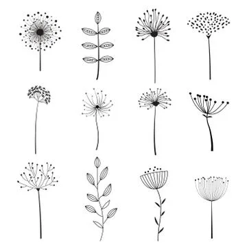 Floral Elements with different flowers and plants for design. Stock Illustration