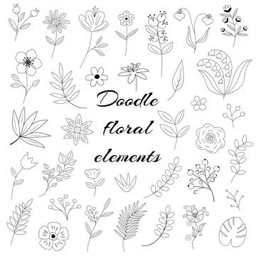 Floral elements doodle set. Flower graphic design. Herbs, berries and wild fl 库存插图