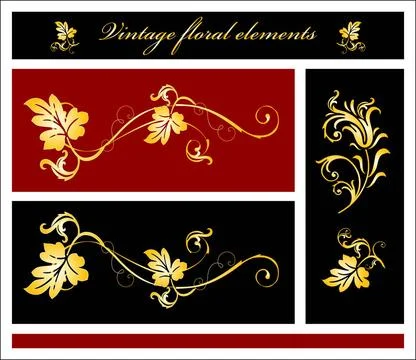 Floral elements floral elements Copyright: xZoonar.com/ReshetnyovaxOxanax ... Foto stock