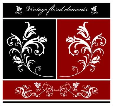 Floral elements floral elements Copyright: xZoonar.com/ReshetnyovaxOxanax ... Foto stock
