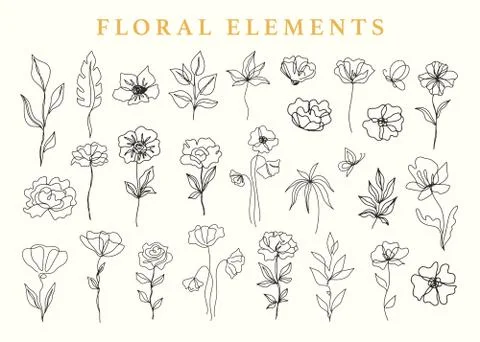 Floral elements set, botanical drawings Stock Illustration