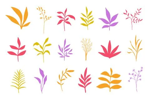 Floral elements set, botanical hand drawings art Stock Illustration
