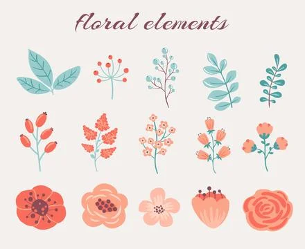 Floral elements set. Flowers, berries and leaves Stock Illustration