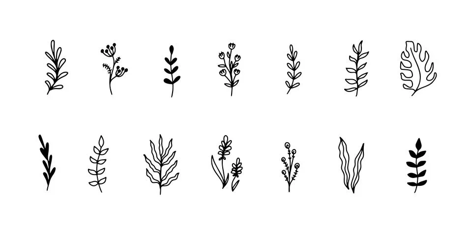 Floral elements set flowers leaves simple outline style Stock Illustration