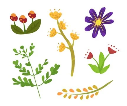 Floral Elements of Spring or Summer, Foliage Flora Illustrazione stock