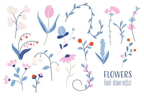 Floral elements in a vibrant design featuring various types of flowers and .. Stock Illustration