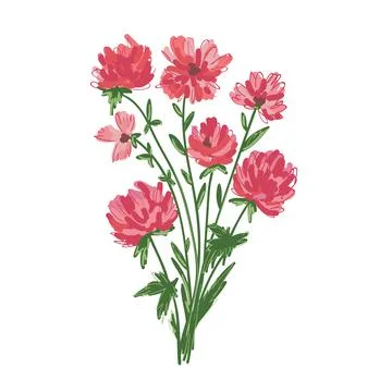 Floral elements on white background. Vector illustration. Illustrazione stock