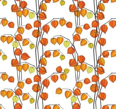 Floral fall seamless pattern Physalis background. Flourish garden texture イラスト素材