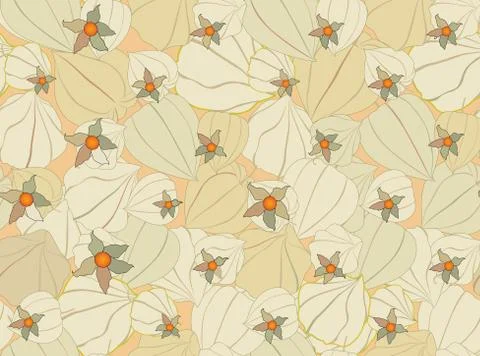 Floral fall seamless pattern Physalis background. Flourish garden texture イラスト素材