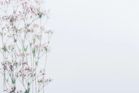 Floral festive side border pattern with copy space 库存照片