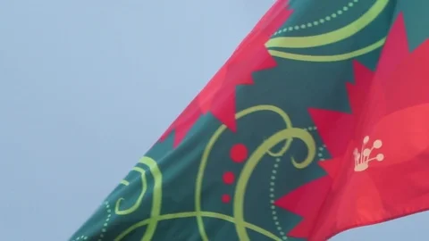Floral Flag Waving Stock Footage 104686938