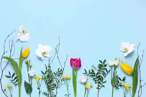 Floral flat lay composition with blank space for a text Stock Photos